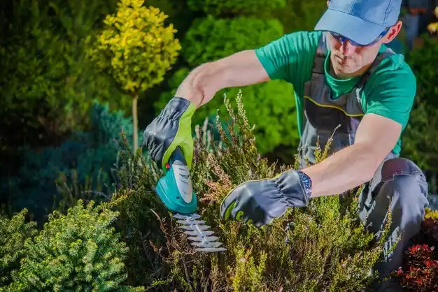 landscaping services Belton